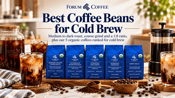 Best Coffee Beans for Cold Brew: Roast, Origin and Grind Explained