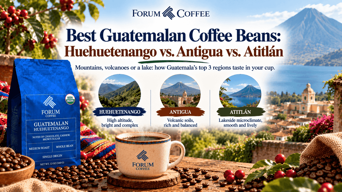 Best Guatemalan Coffee Beans: Huehuetenango vs. Antigua vs. Atitlán