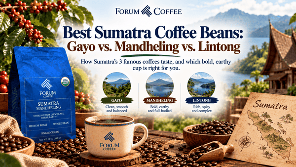 Best Sumatra Coffee Beans: Gayo vs. Mandheling vs. Lintong