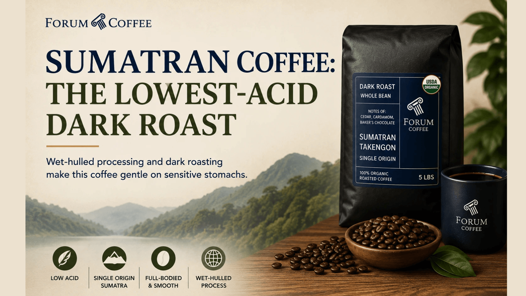 Why Sumatran Coffee Is the Lowest-Acid Dark Roast You Can Buy?