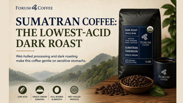 Why Sumatran Coffee Is the Lowest-Acid Dark Roast You Can Buy?
