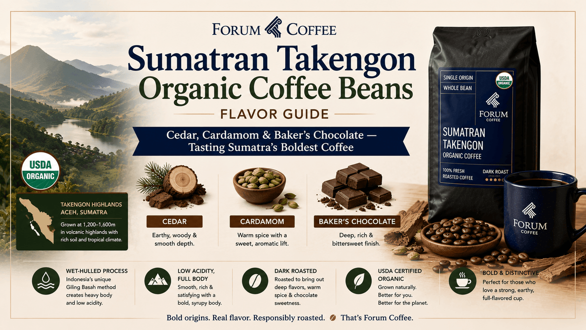 Cedar, Cardamom, Baker's Chocolate: Tasting Notes of Sumatran Coffee