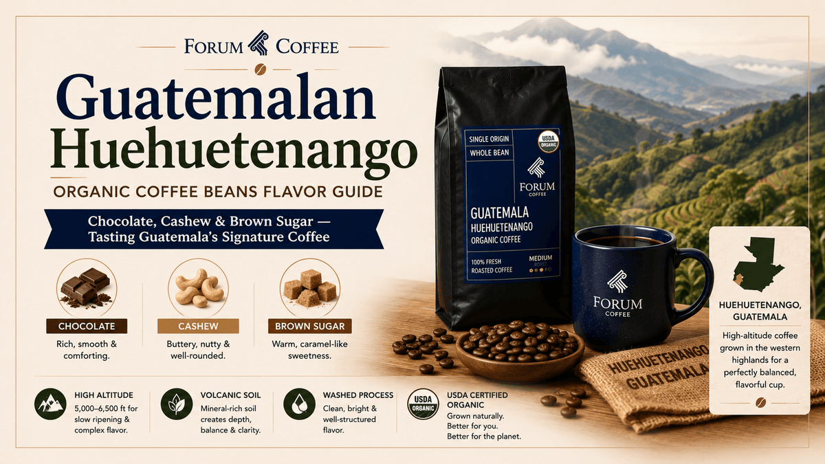 Chocolate, Cashew, Brown Sugar: Inside the Flavor of Guatemalan Coffee