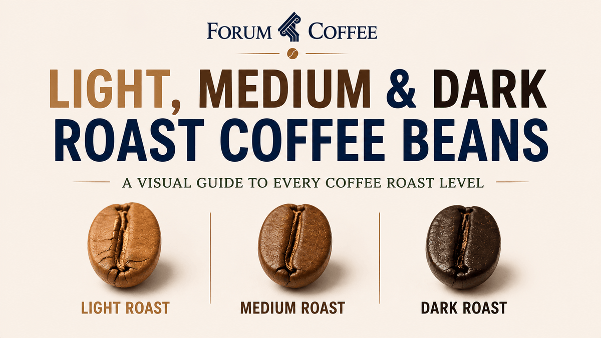 What's the Difference Between Coffee Roasts? A Visual Guide