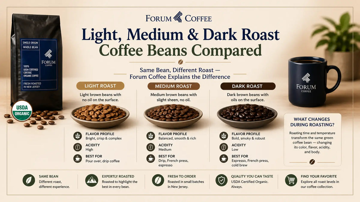 Light vs. Medium vs. Dark Roast Coffee: The Complete Comparison Guide