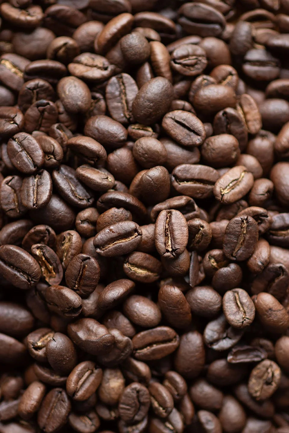 Ethiopian Yirgacheffe Organic Single Origin (5lb Bulk)
